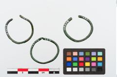Foto von Bronzering (NHMW-PRAE-024320)